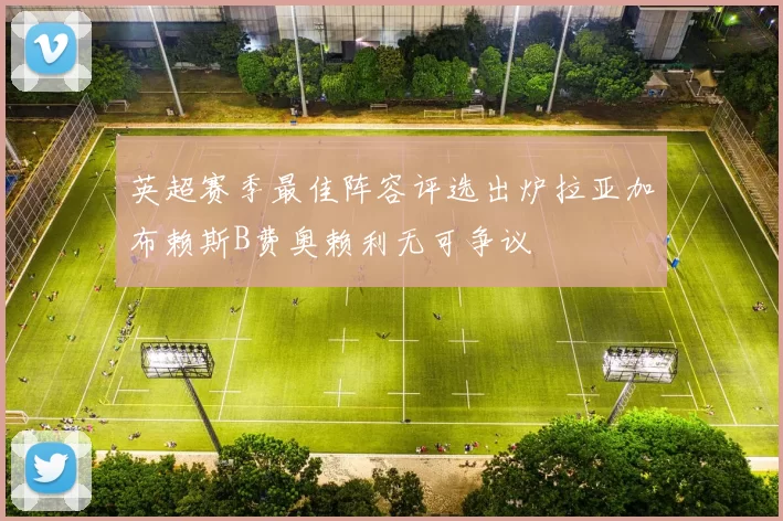 英超赛季最佳阵容评选出炉拉亚加布赖斯B费奥赖利无可争议